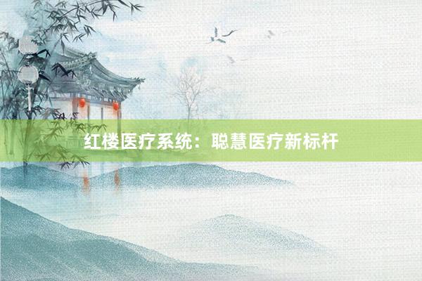 红楼医疗系统:聪慧医疗新标杆