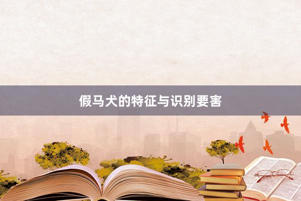 假马犬的特征与识别要害